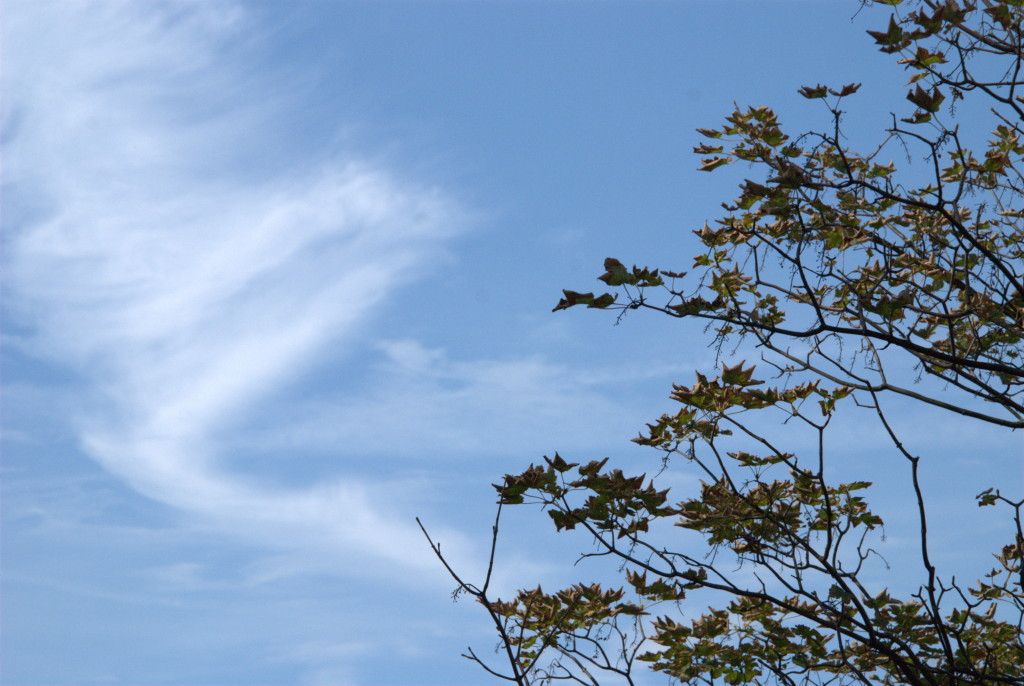 Blick aus dem Fenster