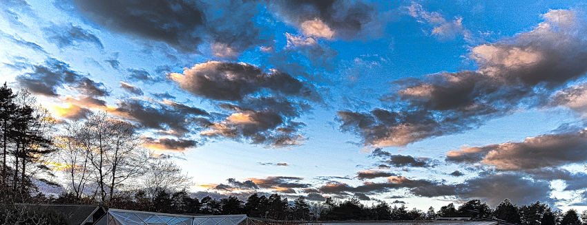 Blick in den Abendhimmel.jpg