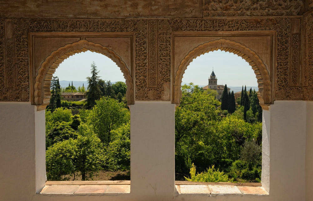 Blick in den Garten