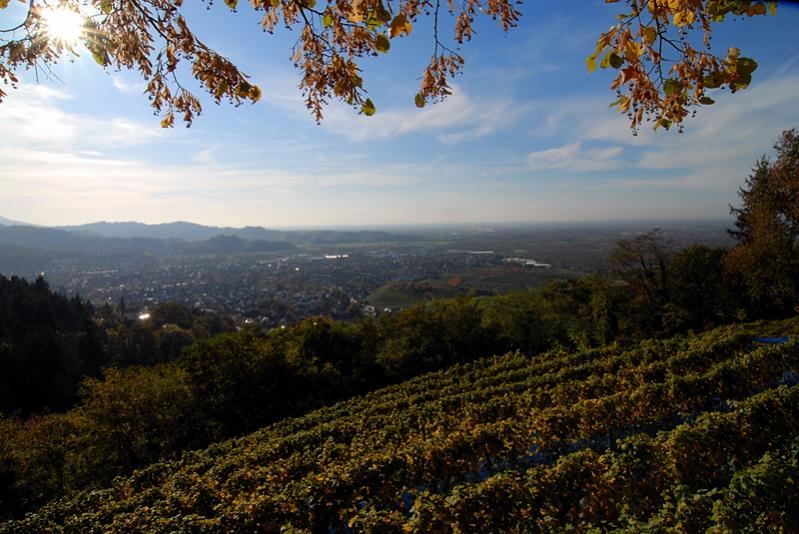 Blick ins Tal