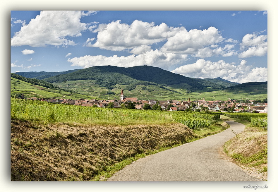 Blick Vogesen