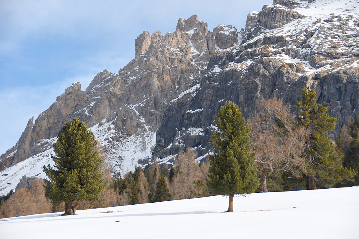 Blick von der Plätzwiese zum Dürrenstein (2839m)