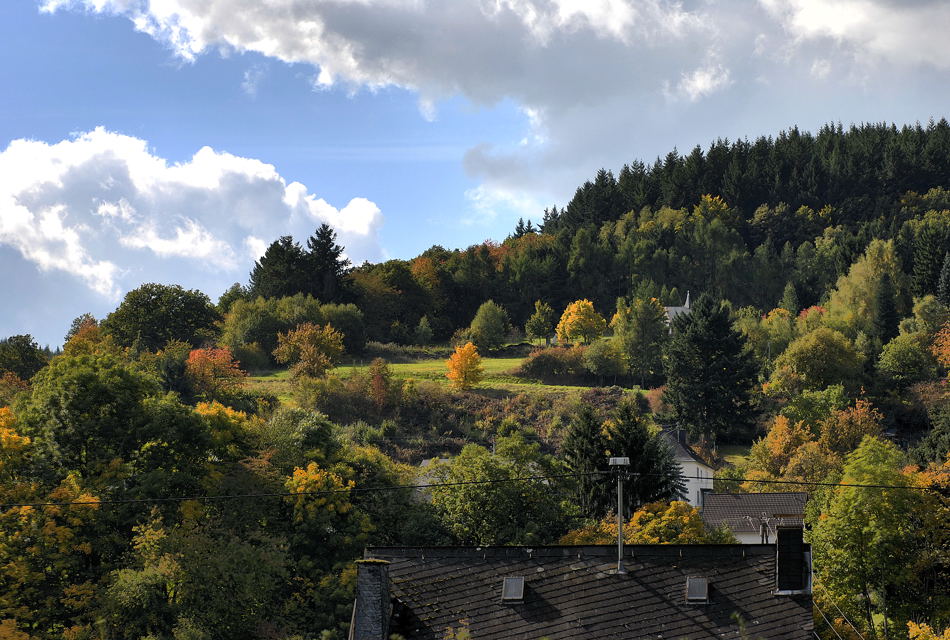 blick