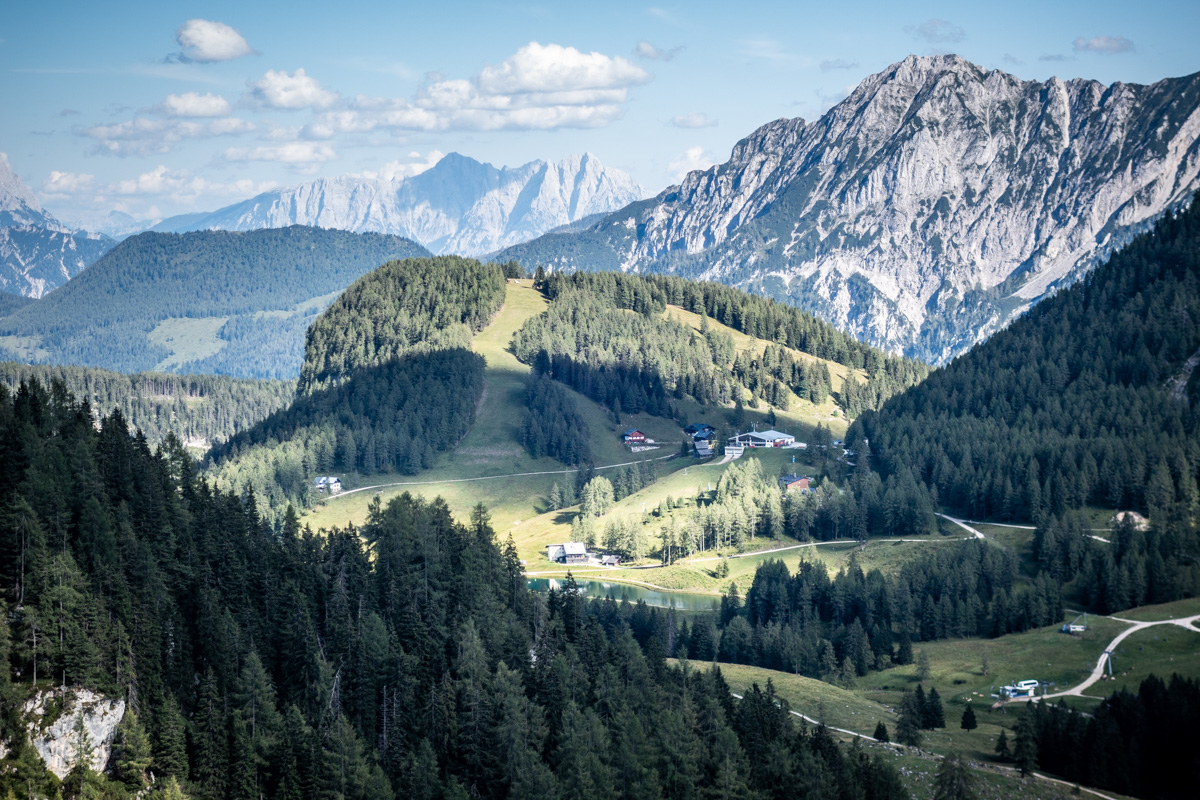 Blick