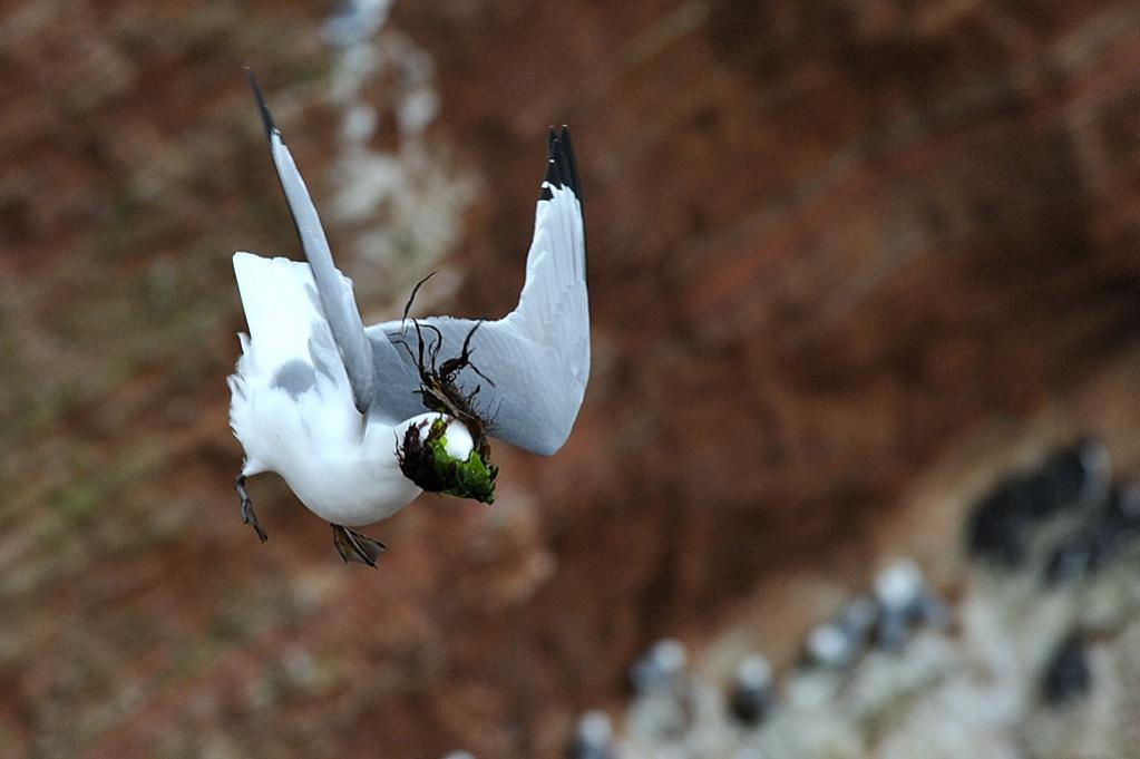 ....Blindflug....