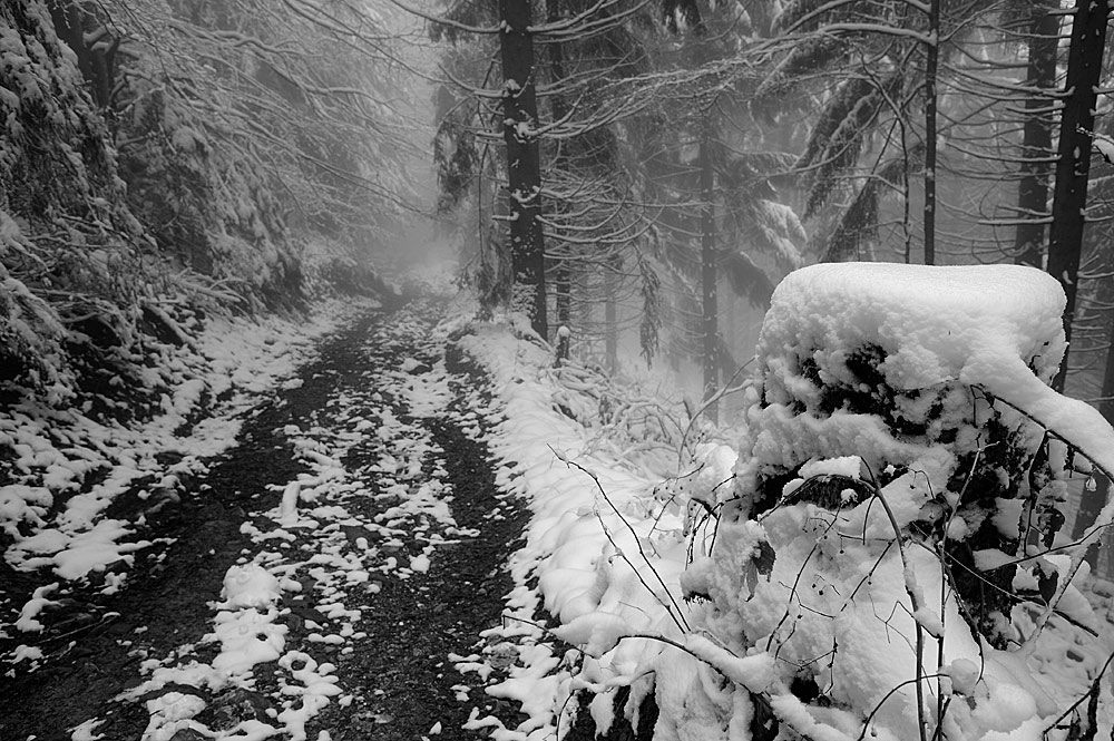 Blomberg6