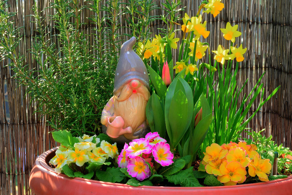 Blumen mit Zwerg2