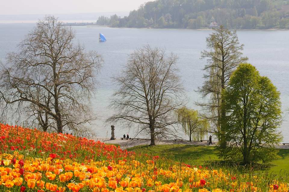 Blumen so weit das Auge reicht