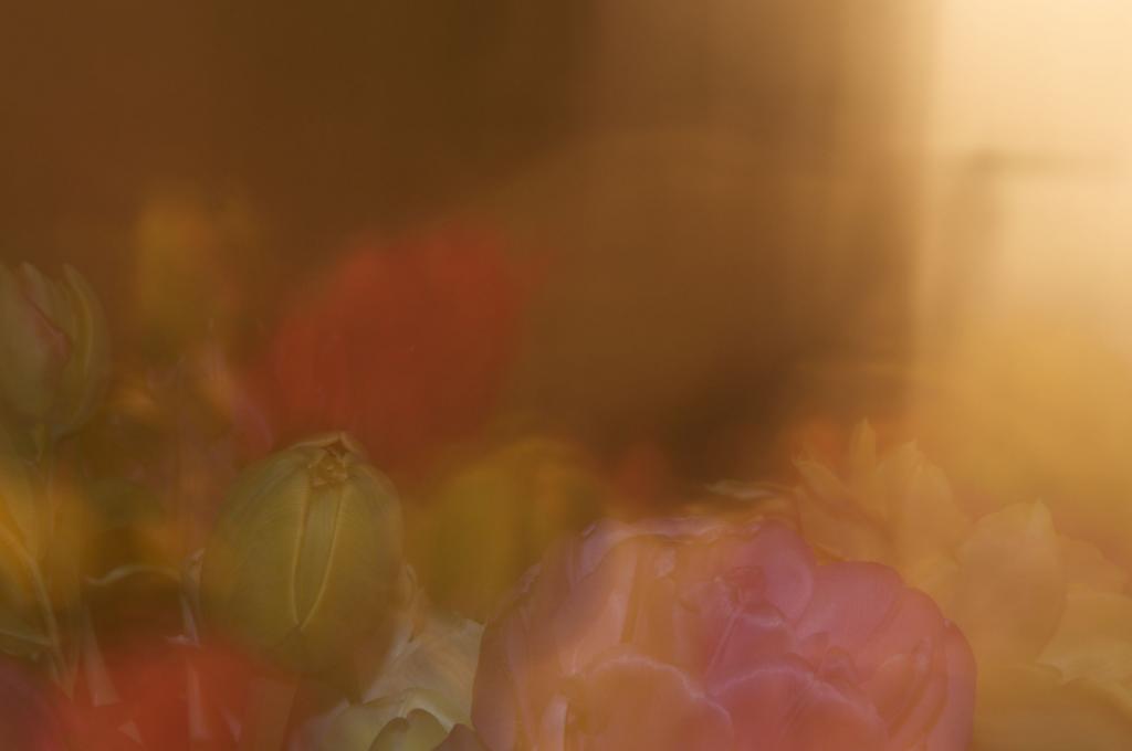 Blumen
