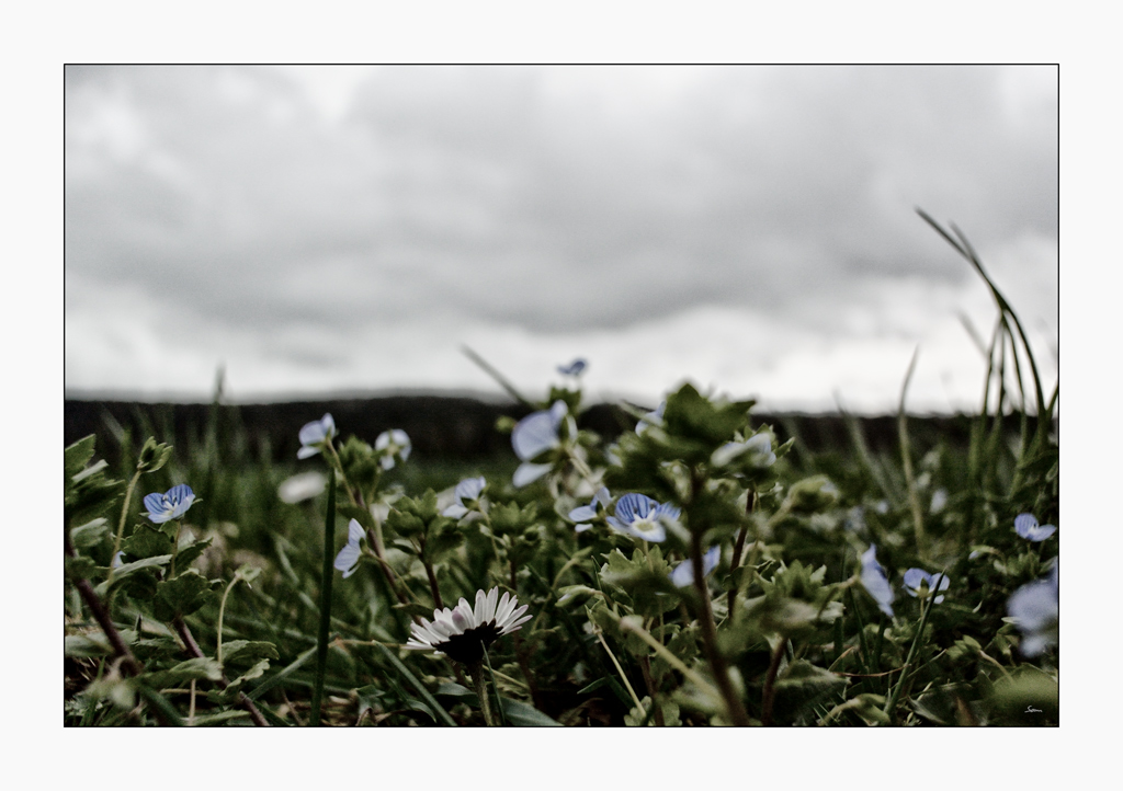BodenDSC 5721