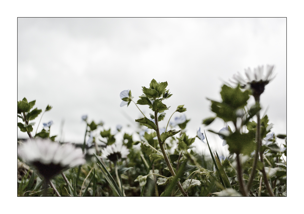BodenDSC 5723