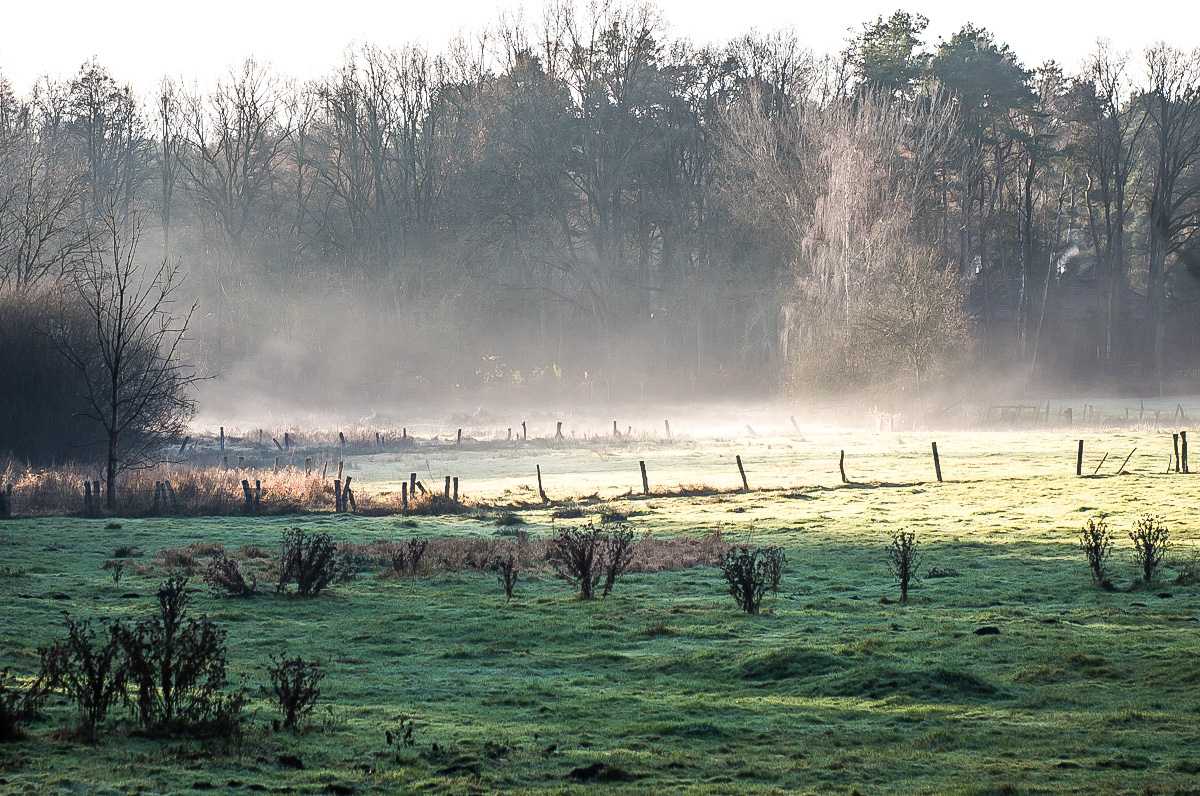 Bodennebel (1 von 1).JPG