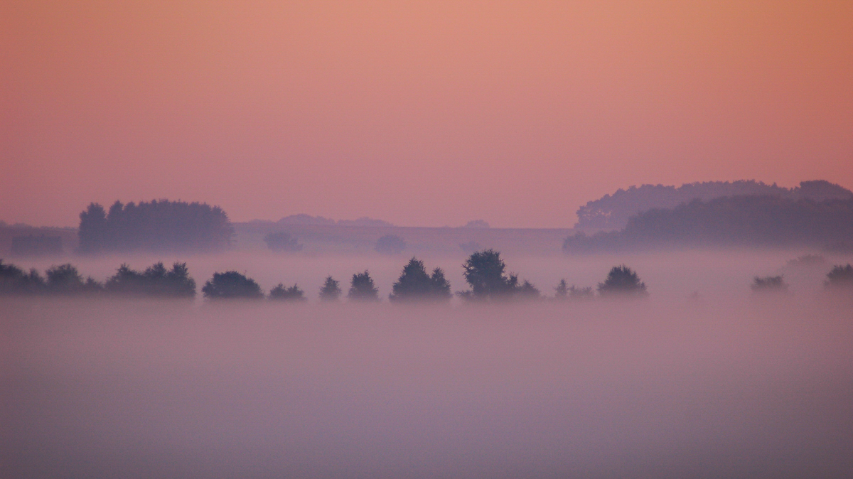 Bodennebel 2005 (1 von 1).JPG