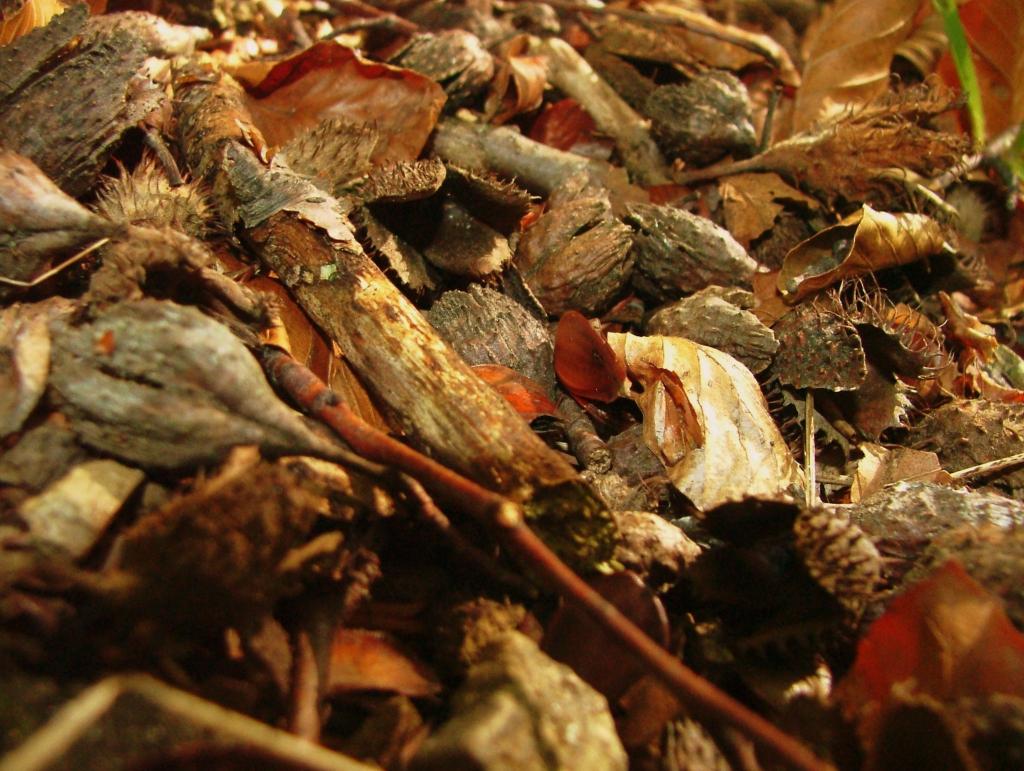 Bodenschätze