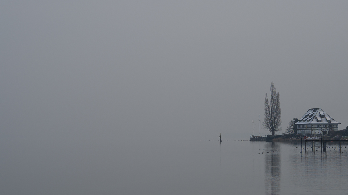 Bodensee im Nebel
(Überlinger See bei Bodman)