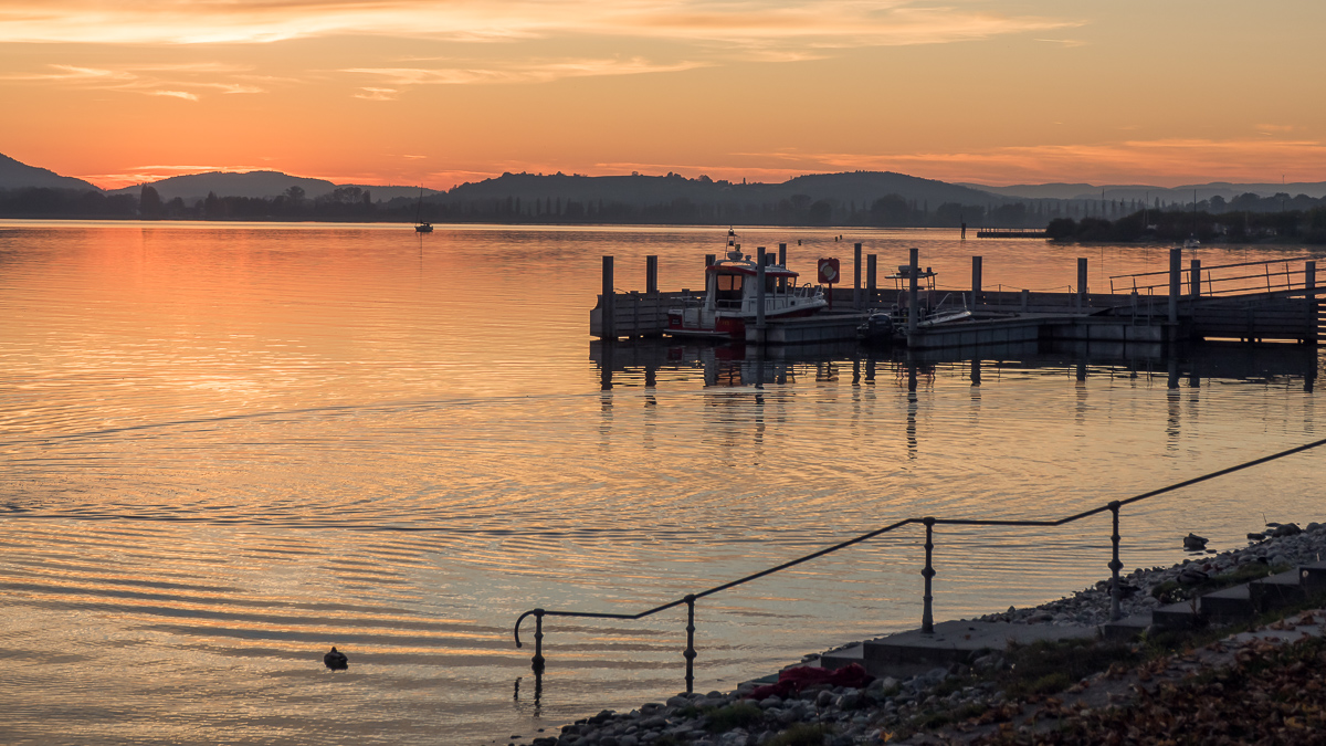 Bodensee , Radolfzell , Untersee