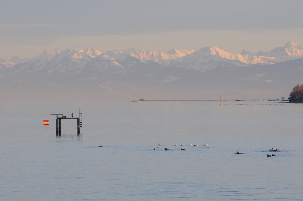 Bodensee, Vorarberger Alpen vom Hafen Bottighofen aus
DSC 3456