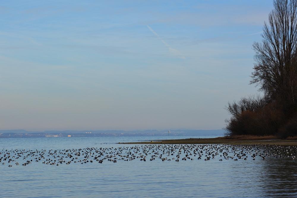 Bodensee