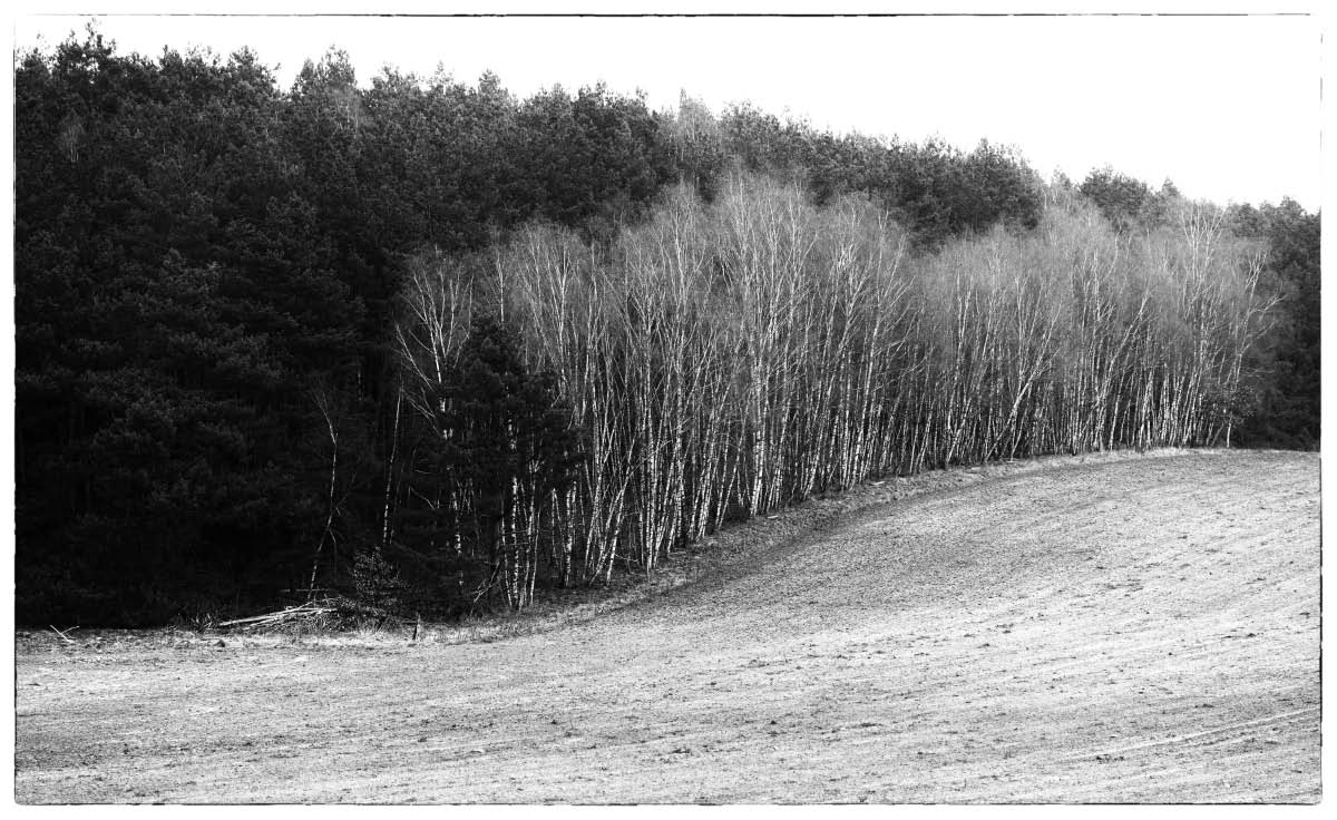 Bodenwelle BW 2.jpg