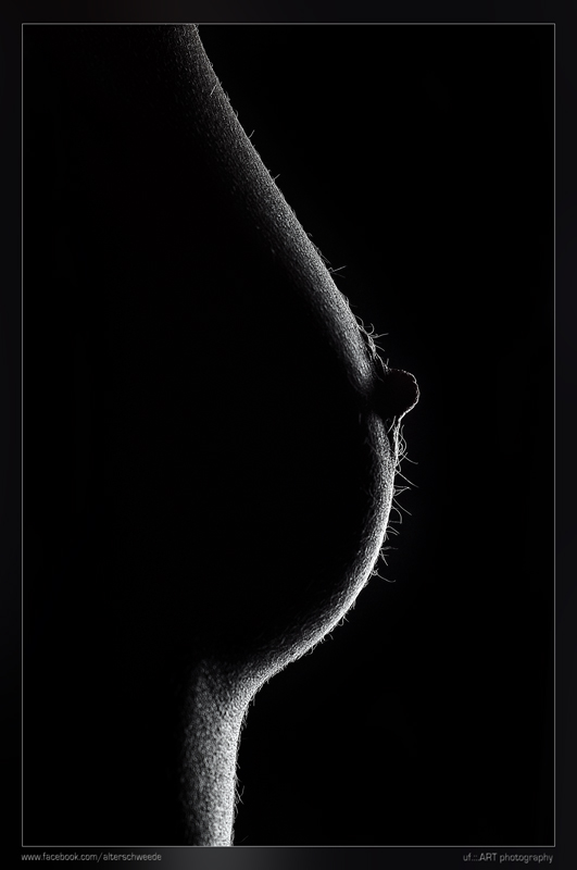 Bodypart