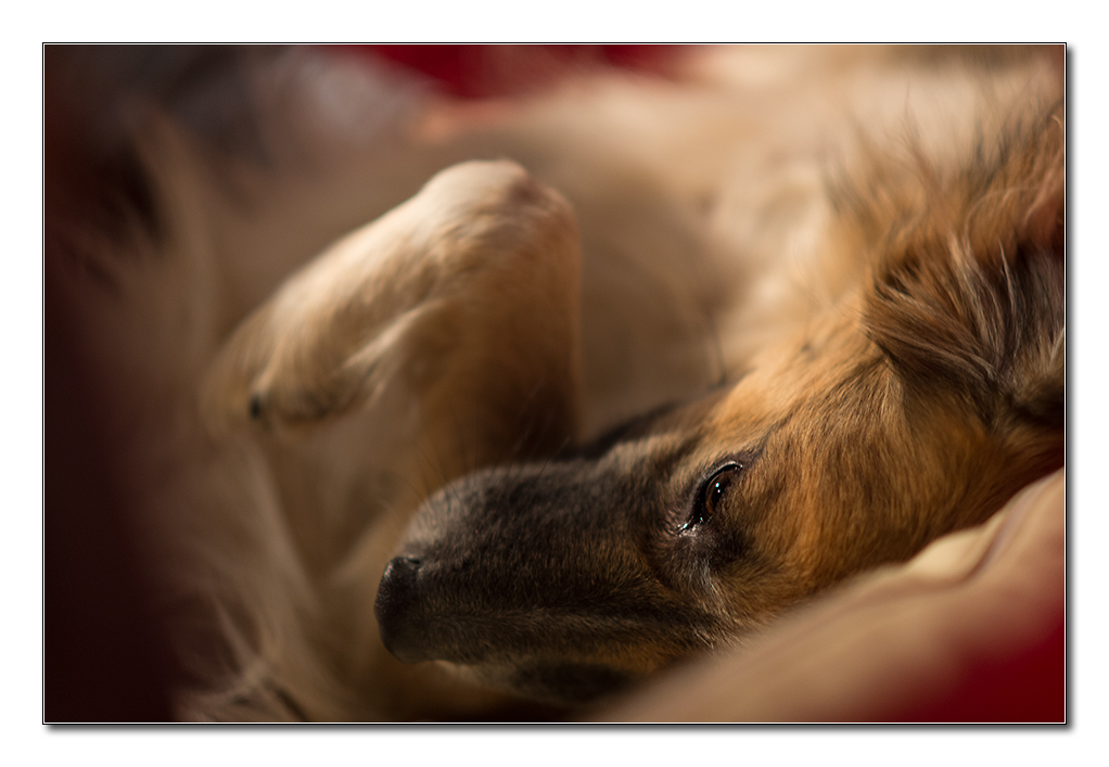 bokeh2