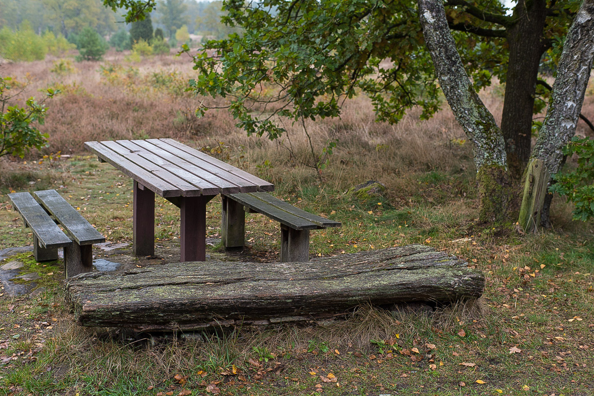 Bokeler Heidebank (1 von 1).JPG