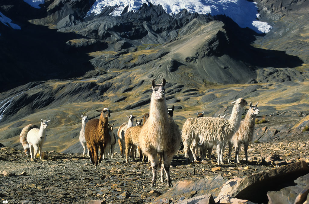 Bolivien16