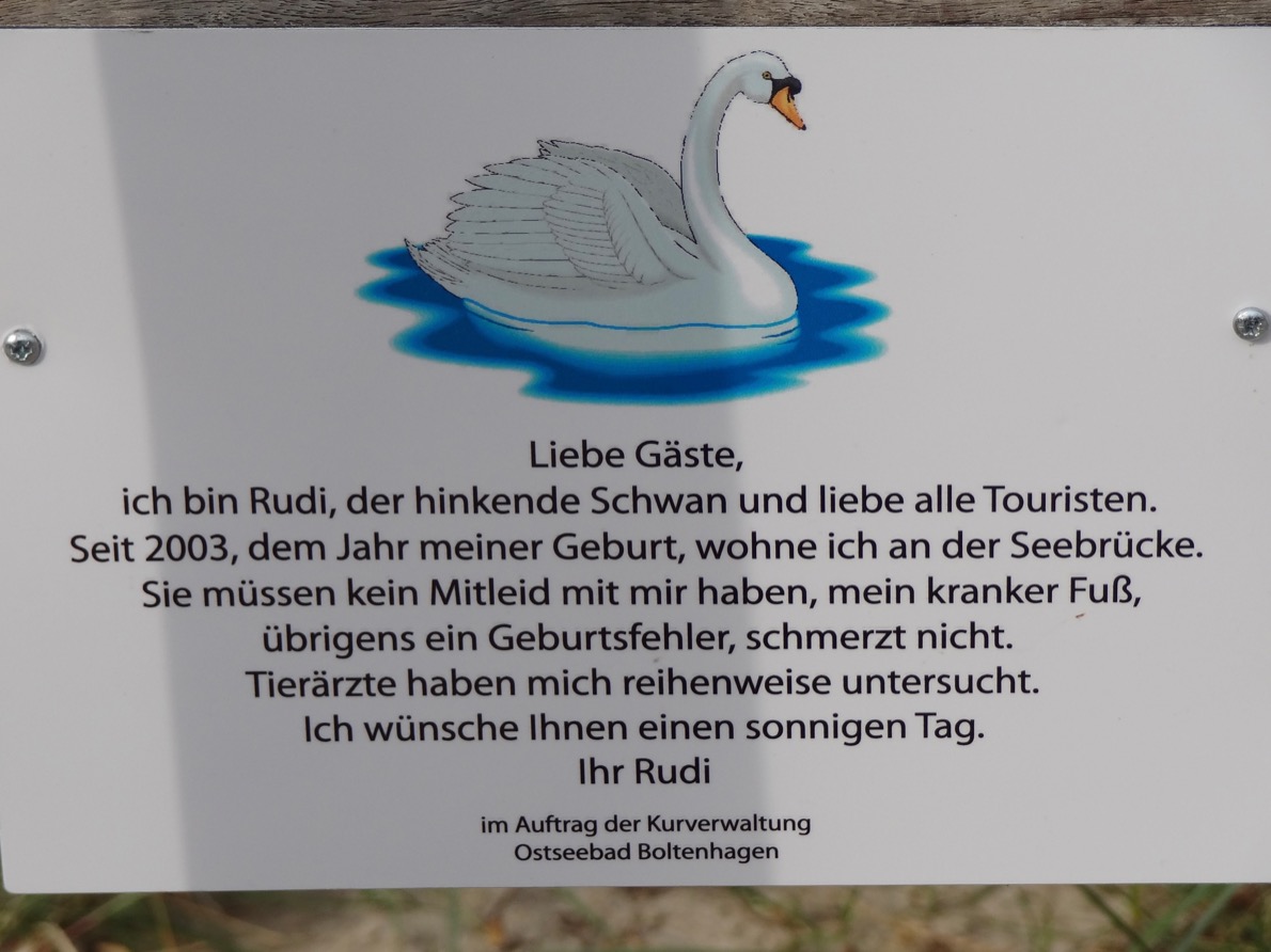Boltenhagen Schild Rudi an der Seebrücke