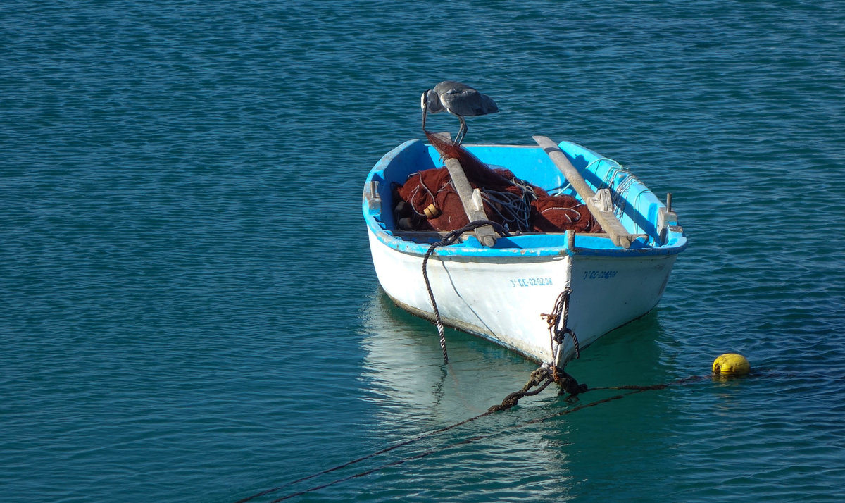 Boot mit Reiher Morro Jable.jpg