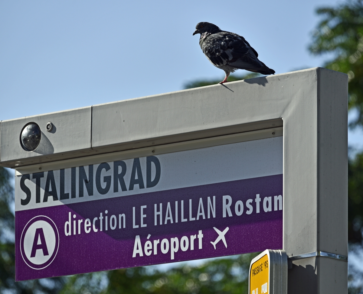 bordeaux_stalingrad.jpg
