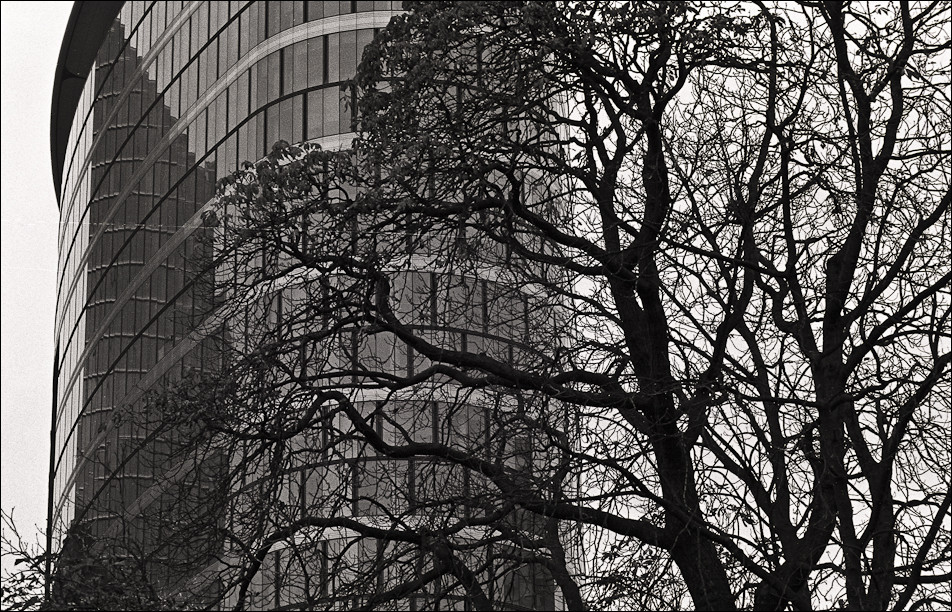 Botanique9