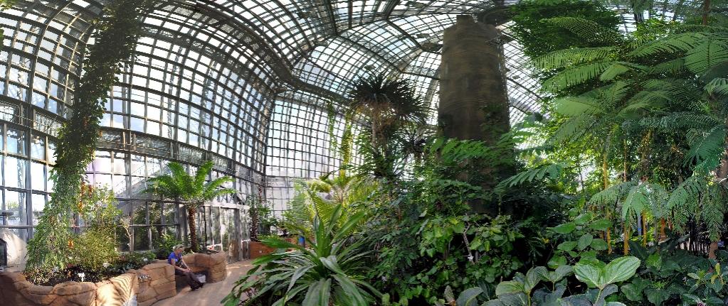 Botanischer Garten Berlin Tropenhalle mit Microsoft ICE erstellt