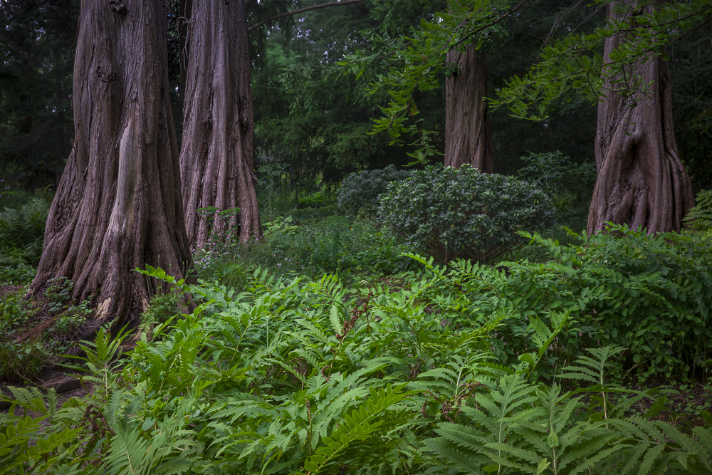 Botanischer Garten Mainz