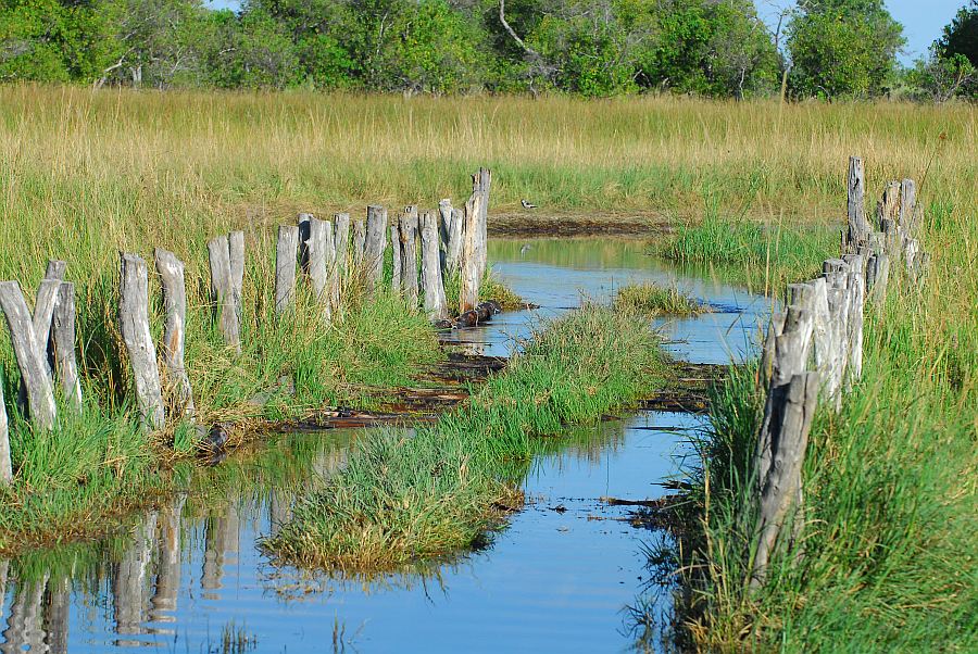 botswana bruecke