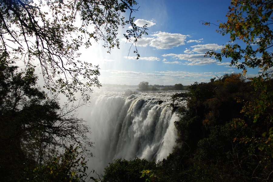 botswana kenzaburo forum 17