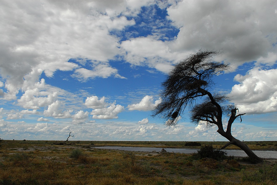 botswana sky