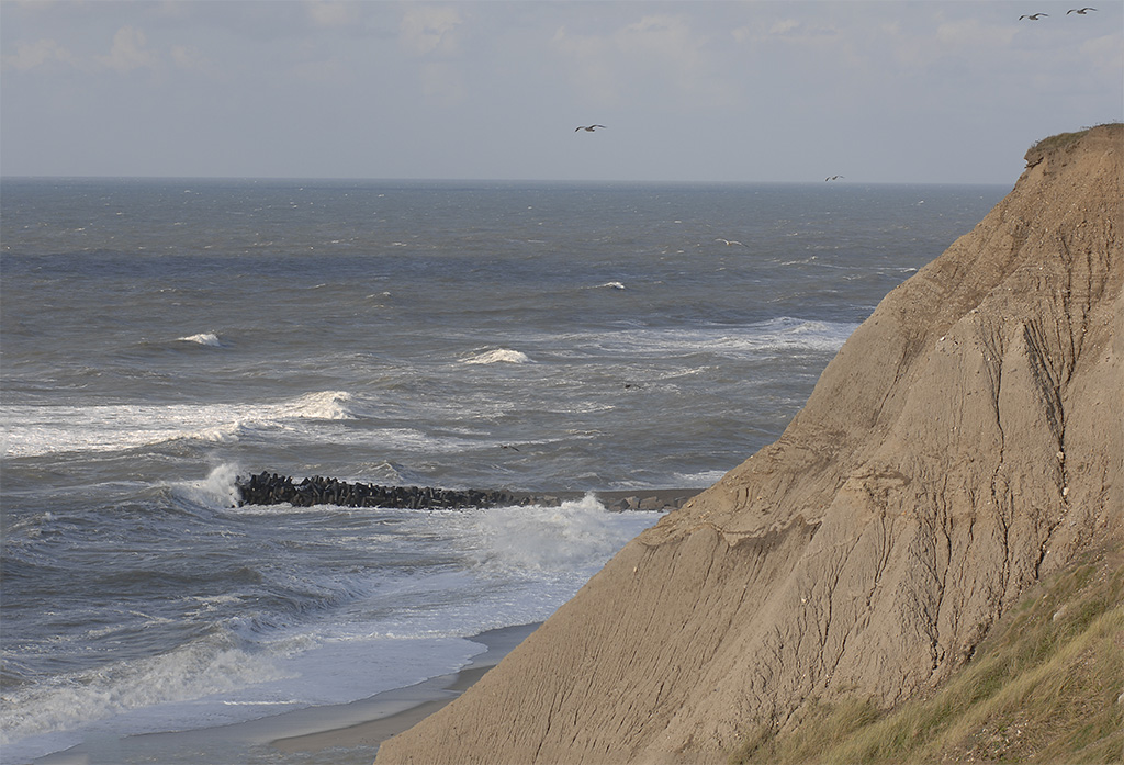 Bovbjerg-Klippen (Mittelwestjütland, DK) D2X9841x