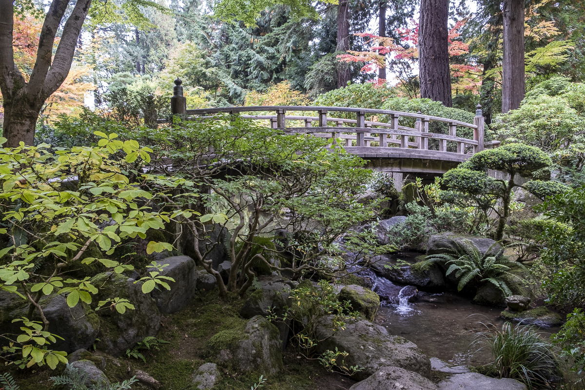 Brücke Japanischer Garten Portland.jpg