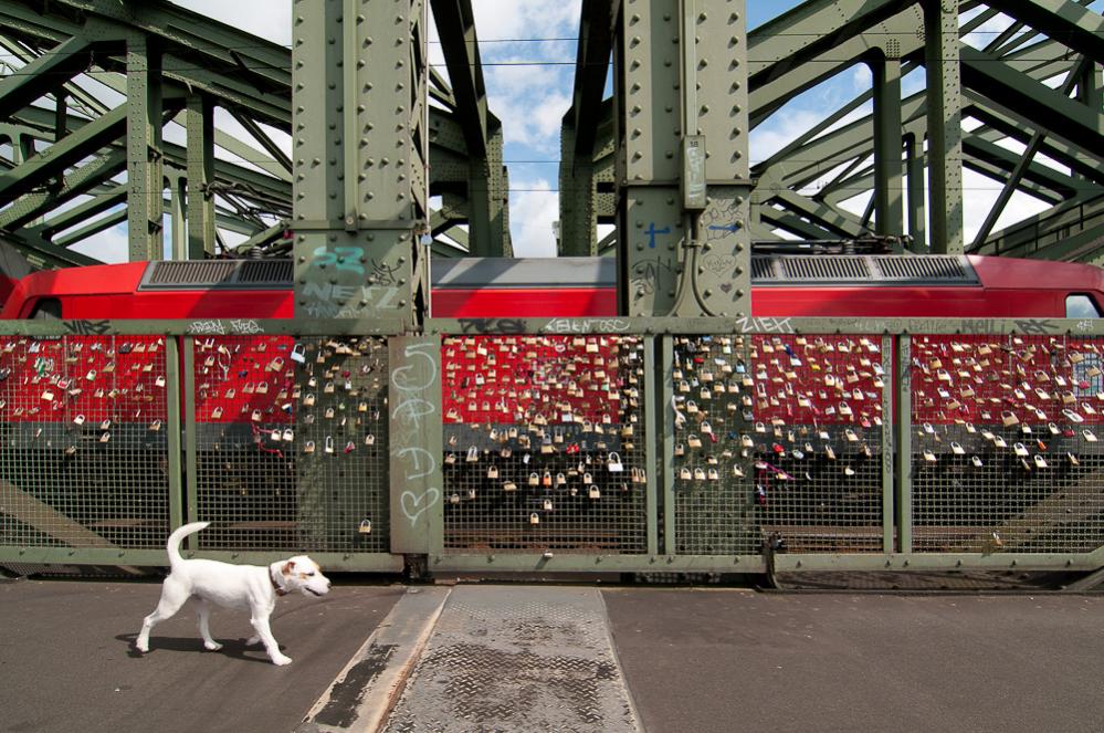 Brücke