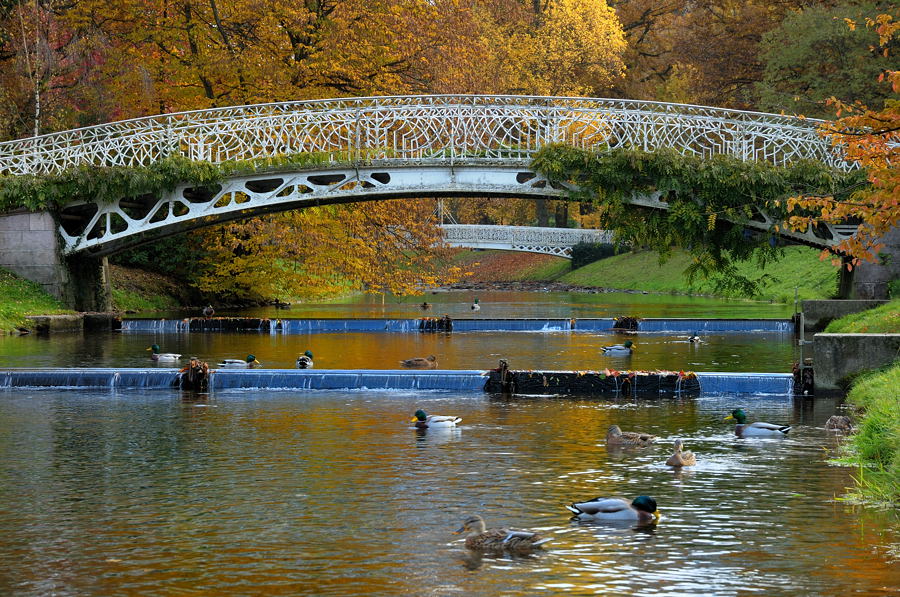 Brücke