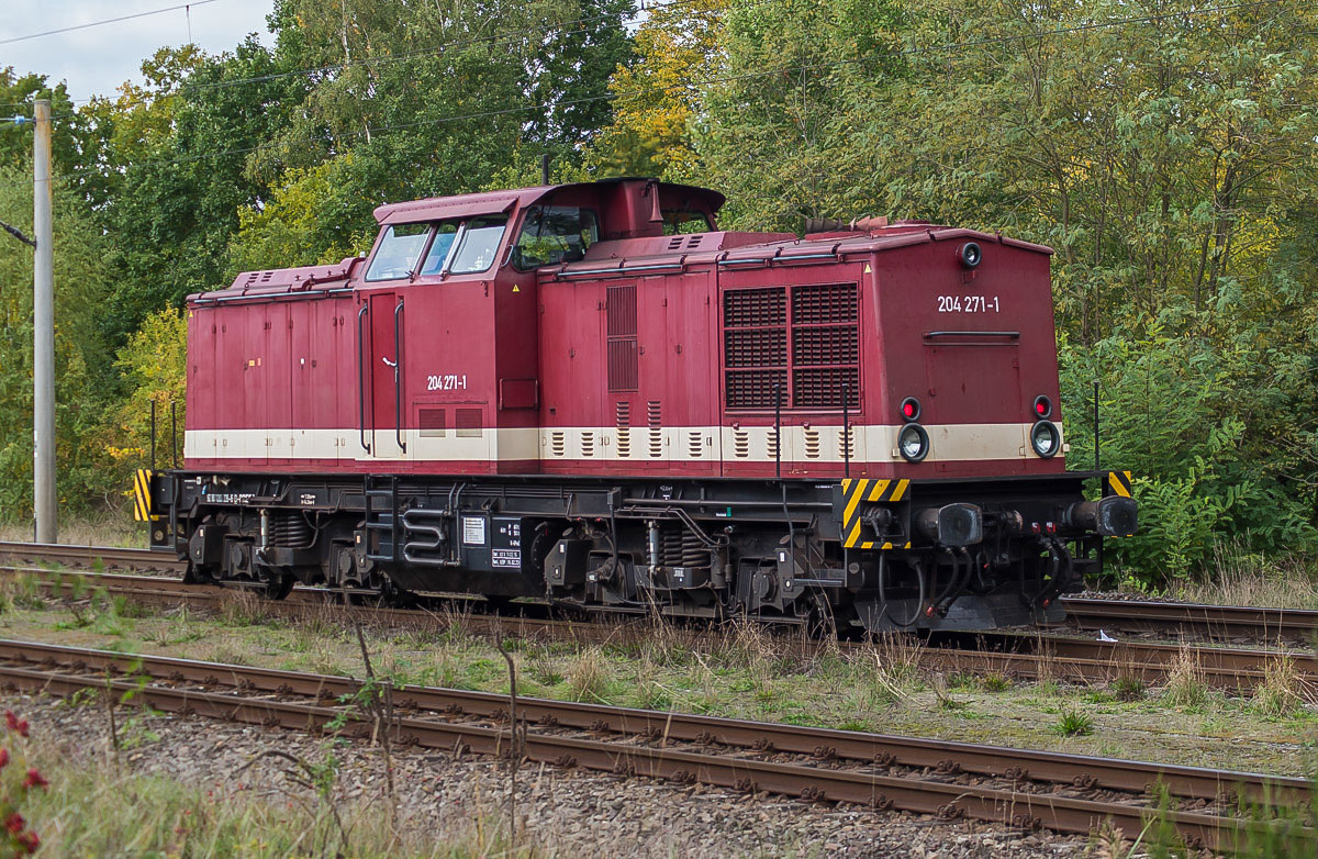 BR 204 (1 von 1).jpg