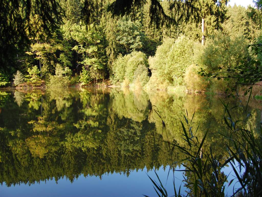 Brandleiteteich2