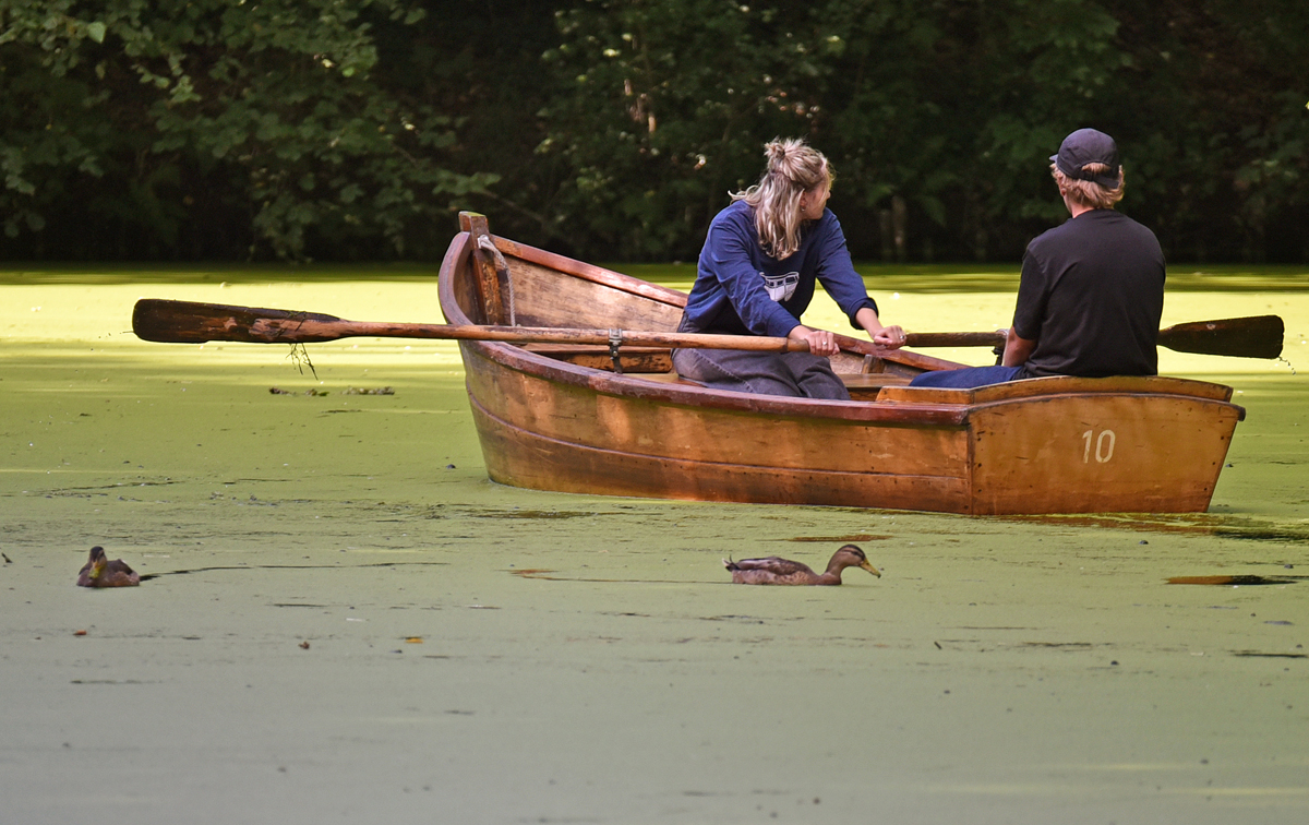 bremen_buergerpark_ruderboot.jpg