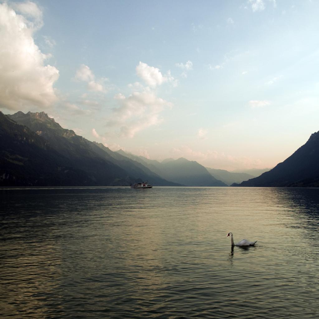 Brienzersee