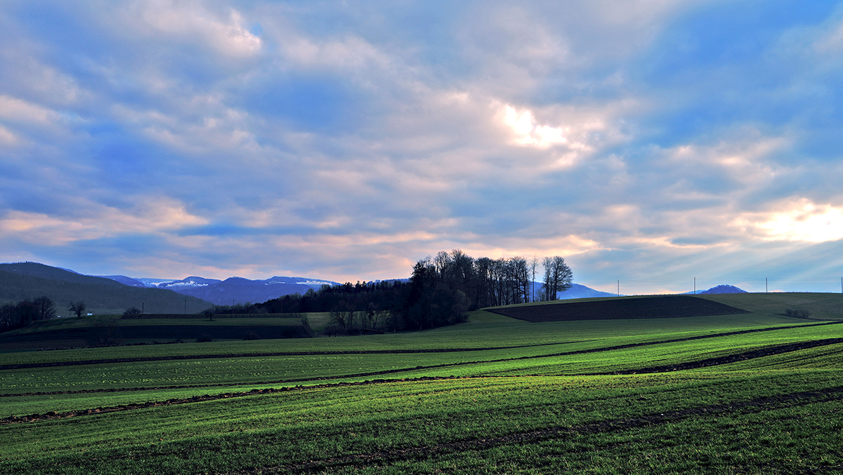 Brislach_Q1002113_12.jpg