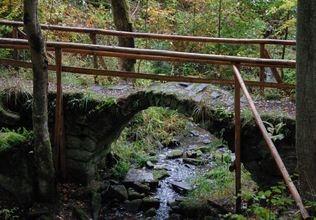 brueckle1