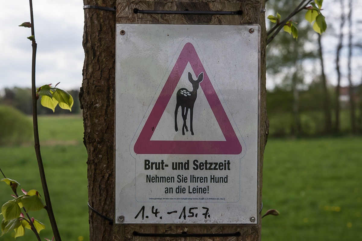 Brut und Setzzeit (1 von 1).jpg