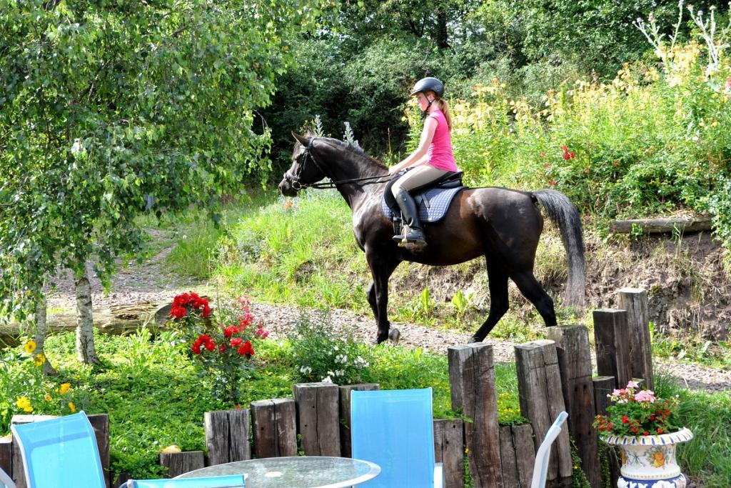BS Taladina 2012 a.jpgaa