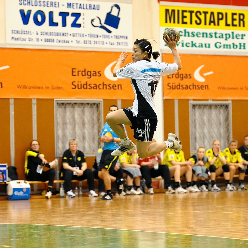 BSV BVB4