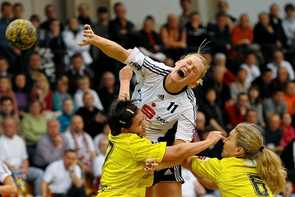 BSV BVB6